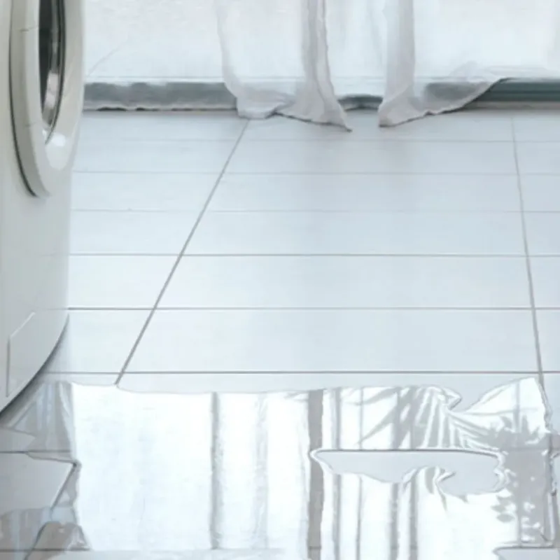 Appliance Leak Cleanup in Tanglewilde, WA