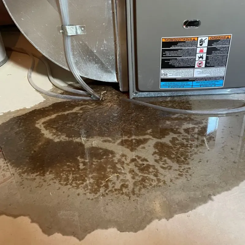 Pipe Burst and Leak Restoration in Tanglewilde, WA